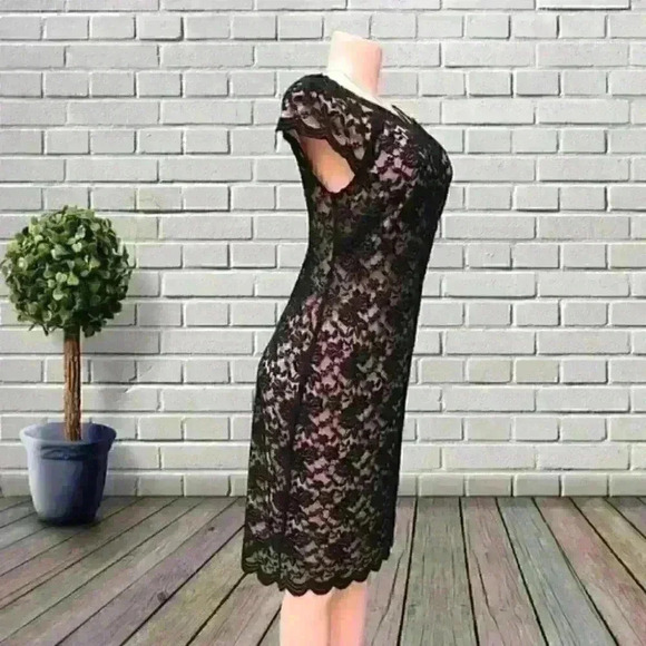 NWT Dressbarn stablished 1962 lace dress size 8 - Picture 3 of 8